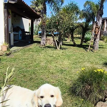 Bed & Breakfast Della Via Francigena Agrigento